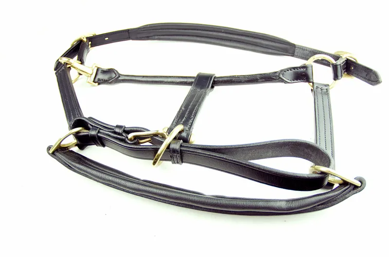 Dever Ascot Leather Headcollar Brown